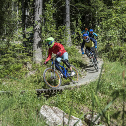 Mountainbike-Park Wagrain – Sommerurlaub – Wagrain – Kleinarl – Salzburger Land – Ferienwohnungen – Ortnerbauer