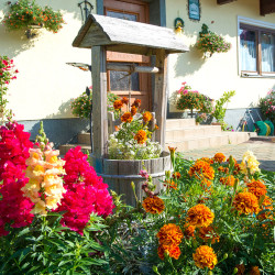 Urlaub am Bauernhof – Ortnerbauer – Wagrain – Kleinarl – Bildergalerie