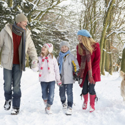 Winterwandern – Winterurlaub – Wagrain – Salzburger Land – Zimmer – Ferienwohnungen – Ortnerbauer